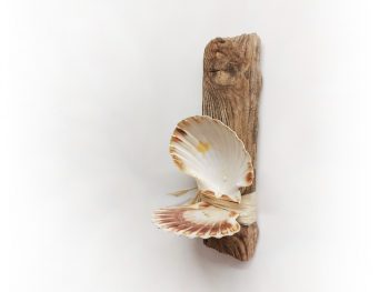 Kerzenhalter / Regal aus Jacobsmuschel und Treibholz von Shabby Surf Art